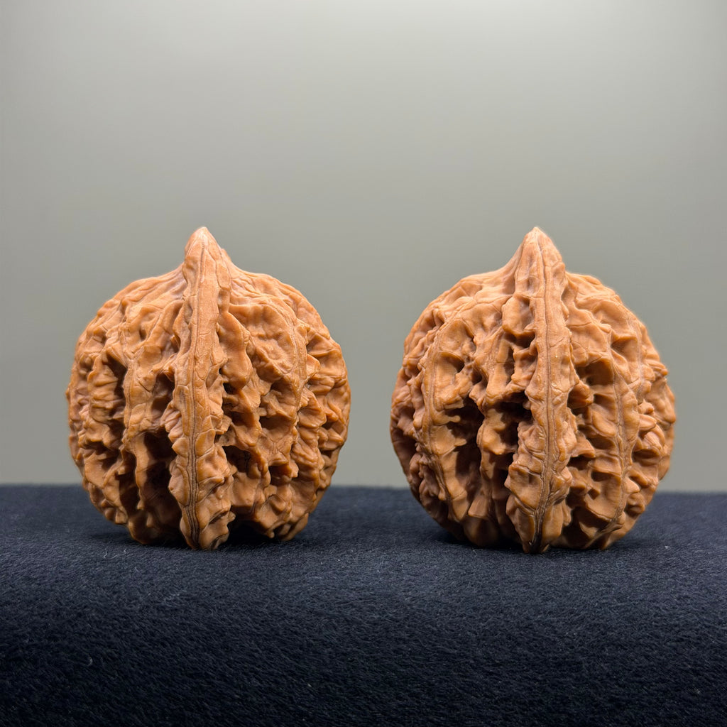 Dragon Spine Wenwan Walnut · 40mm · Natural · Premium Ritual
