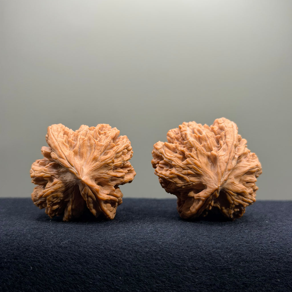 Dragon Spine Wenwan Walnut · 40mm · Natural · Premium Ritual