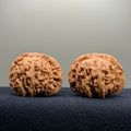 Four Towers Wenwan Walnut · 44mm · Natural · Select Ritual