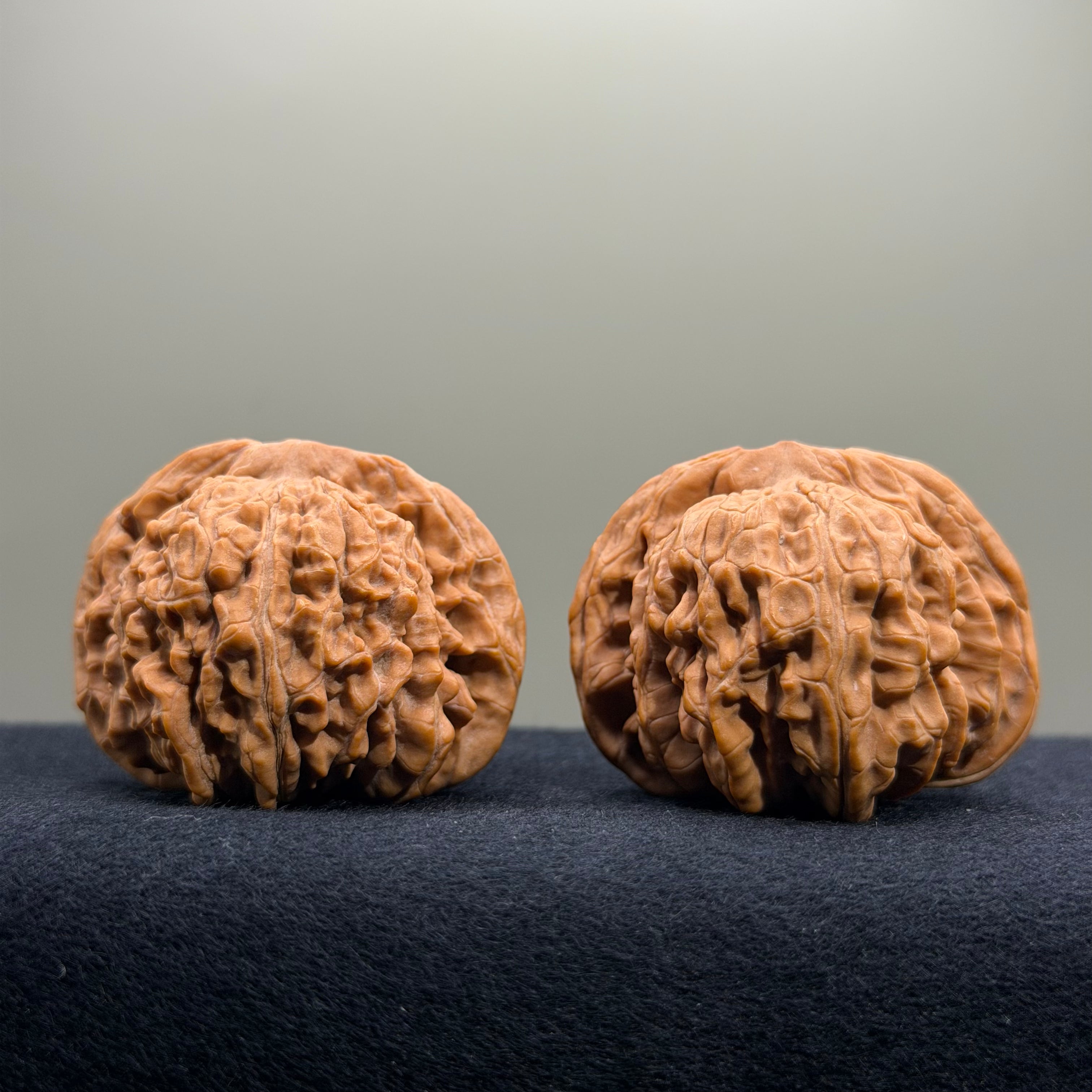 Four Towers Wenwan Walnut · 44mm · Natural · Select Ritual