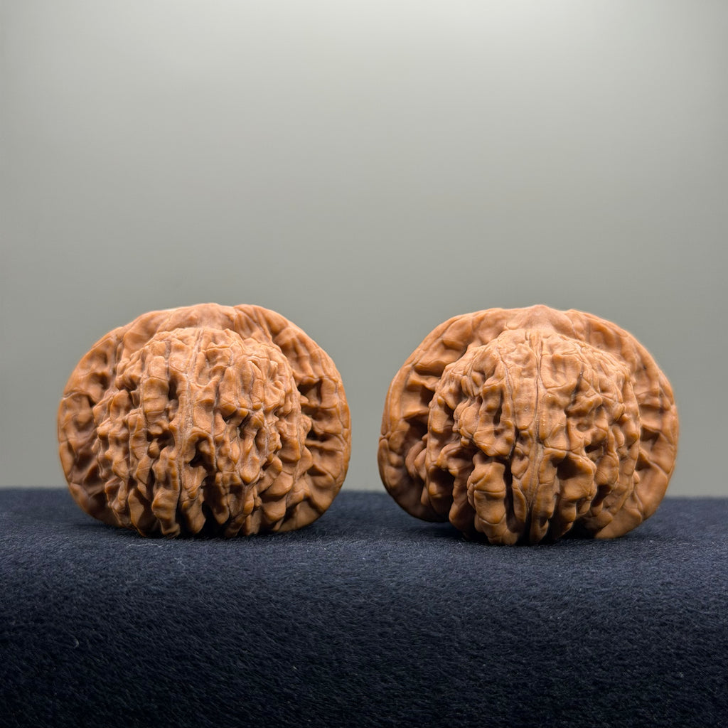 Four Towers Wenwan Walnut · 44mm · Natural · Select Ritual