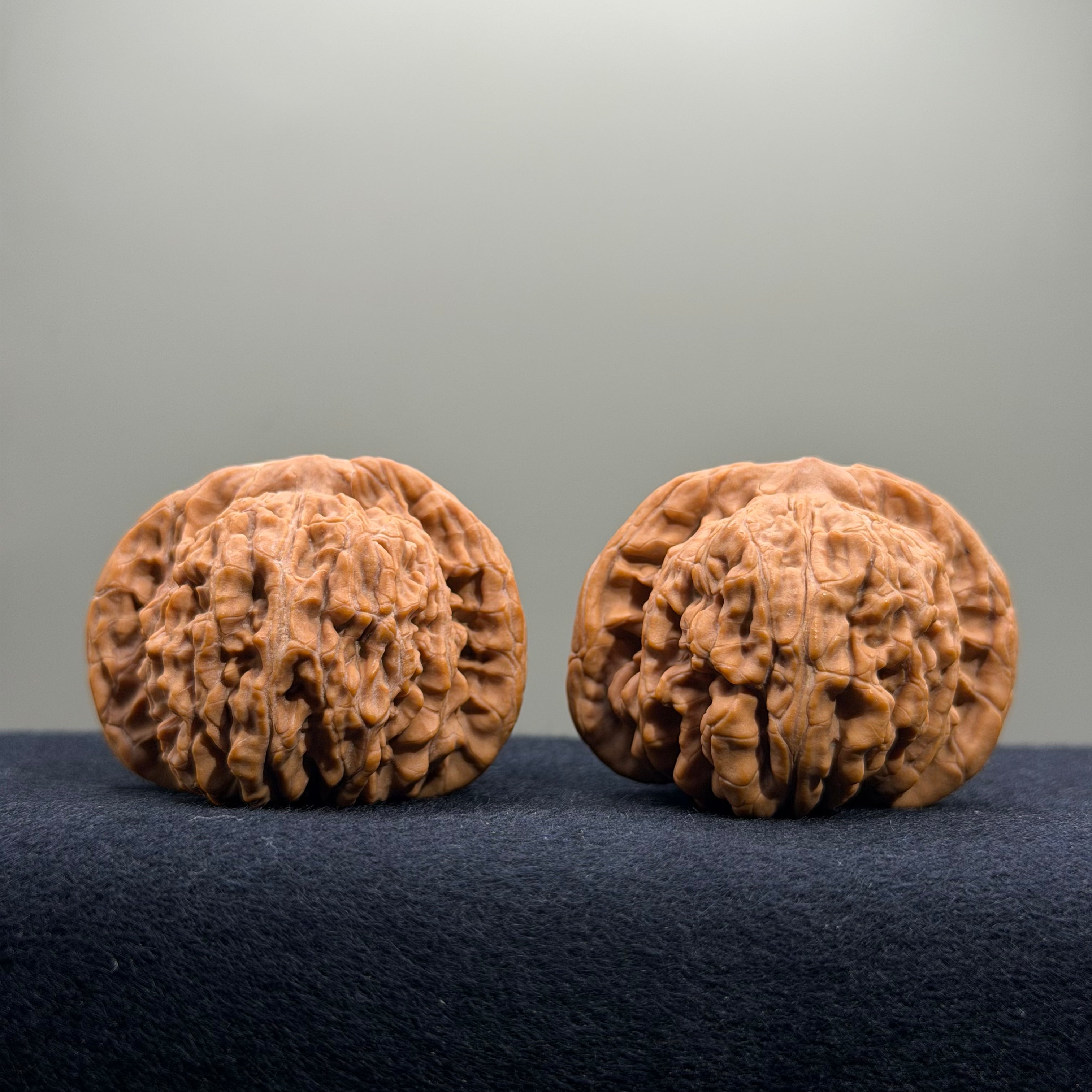 Four Towers Wenwan Walnut · 44mm · Natural · Select Ritual
