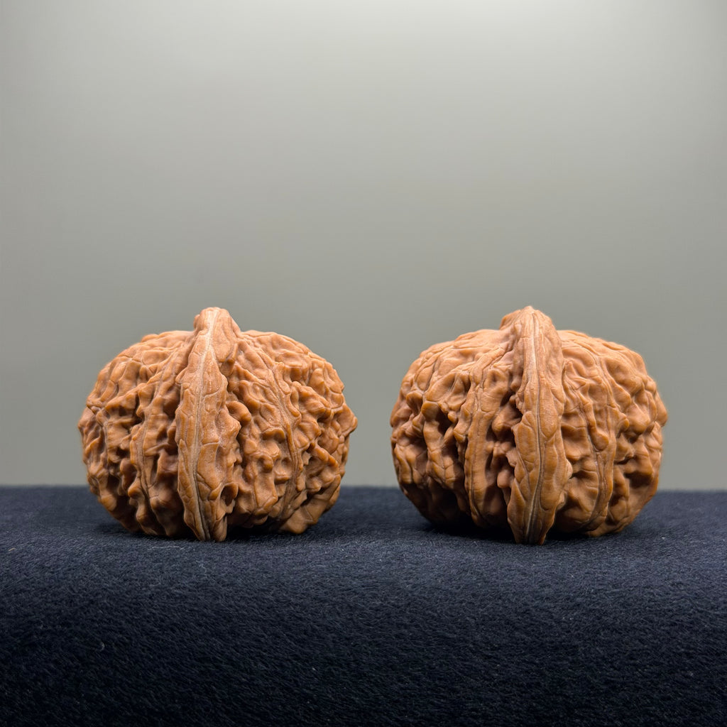 Four Towers Wenwan Walnut · 44mm · Natural · Select Ritual