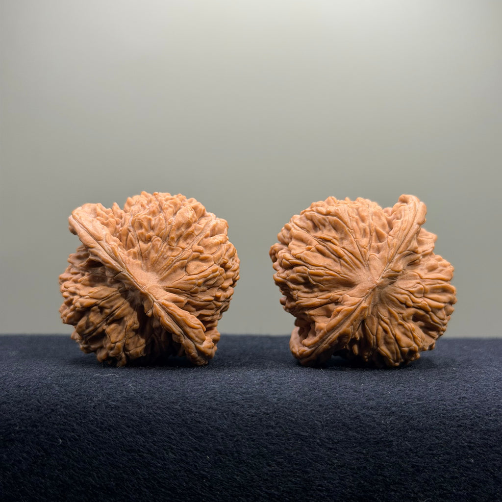 Four Towers Wenwan Walnut · 44mm · Natural · Select Ritual