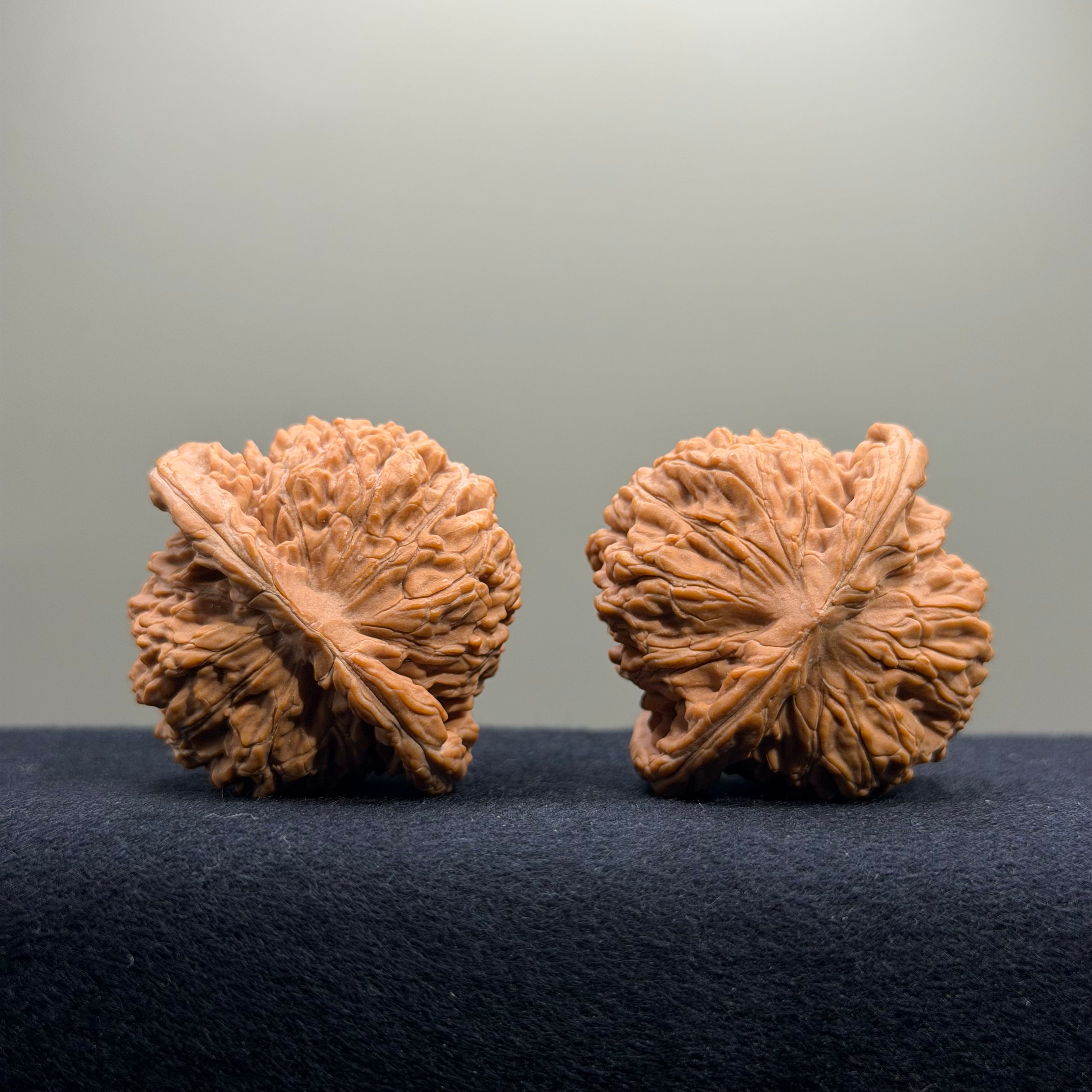 Four Towers Wenwan Walnut · 44mm · Natural · Select Ritual