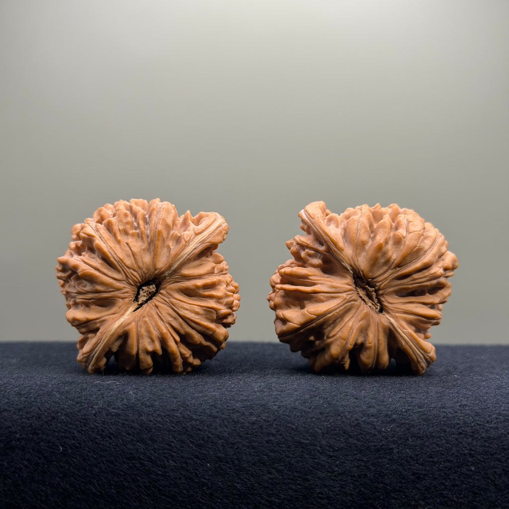 Four Towers Wenwan Walnut · 44mm · Natural · Select Ritual
