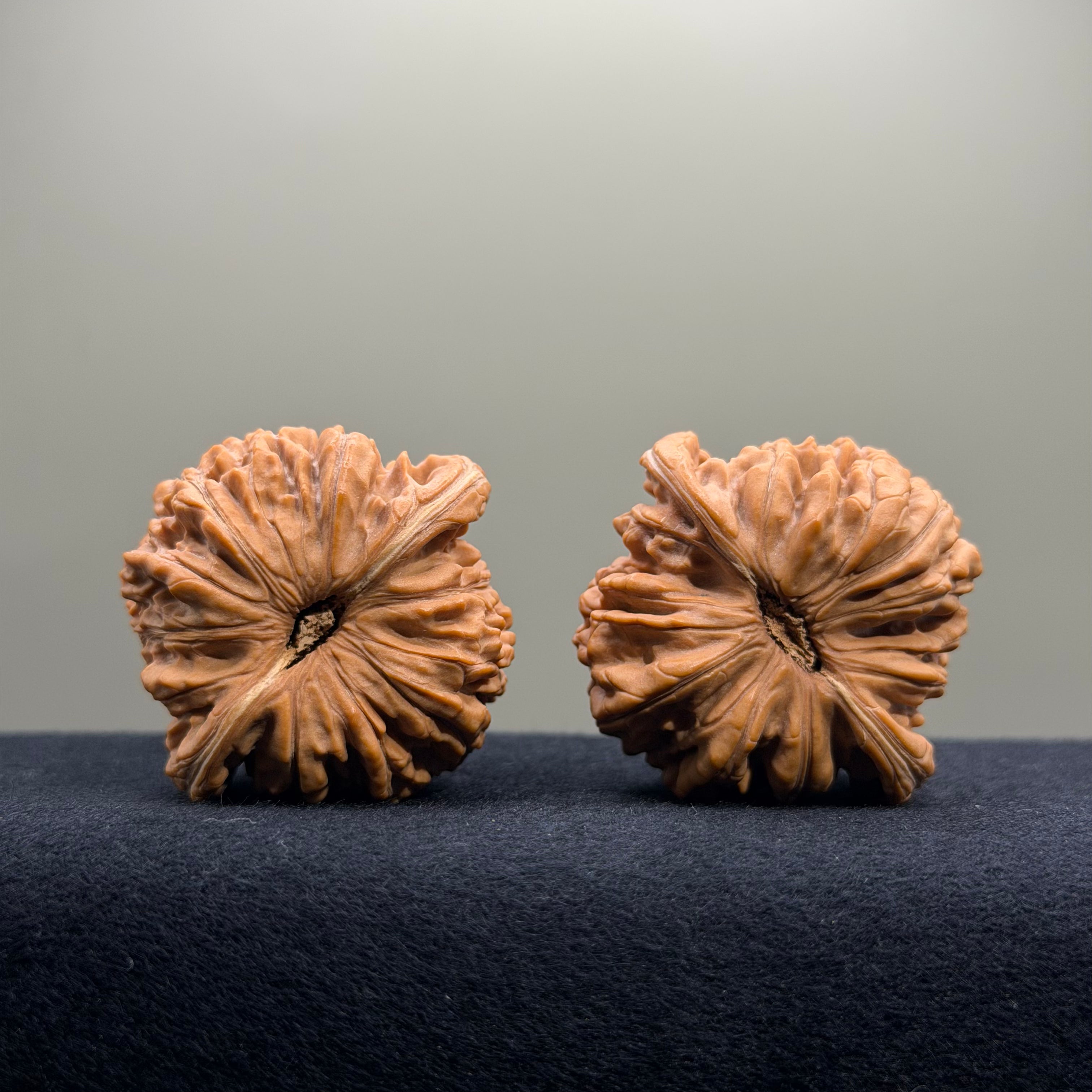 Four Towers Wenwan Walnut · 44mm · Natural · Select Ritual