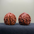 Starry Sky Wenwan Walnut · 36mm · Natural · Premium Ritual