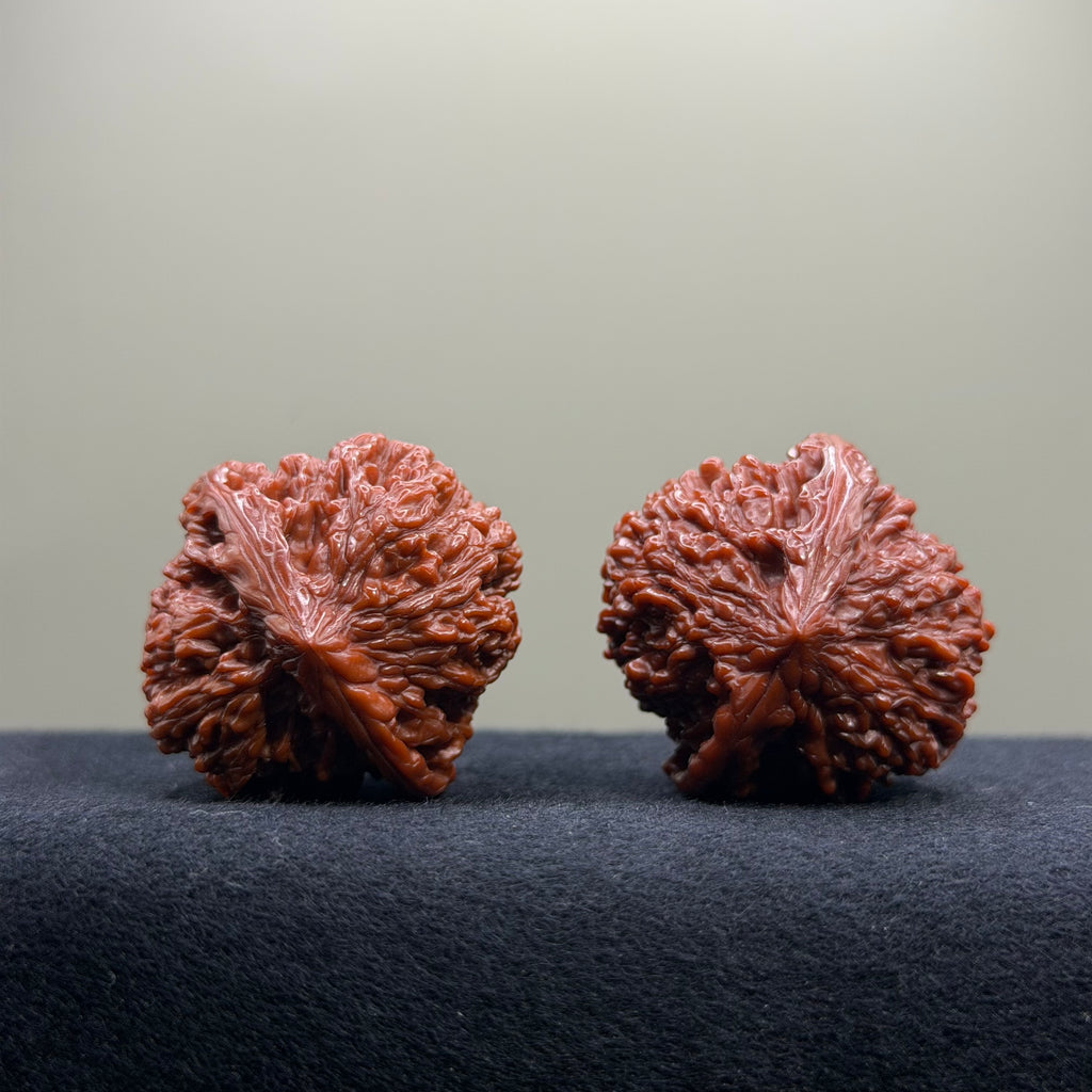 Starry Sky Wenwan Walnut · 36mm · Natural · Premium Ritual