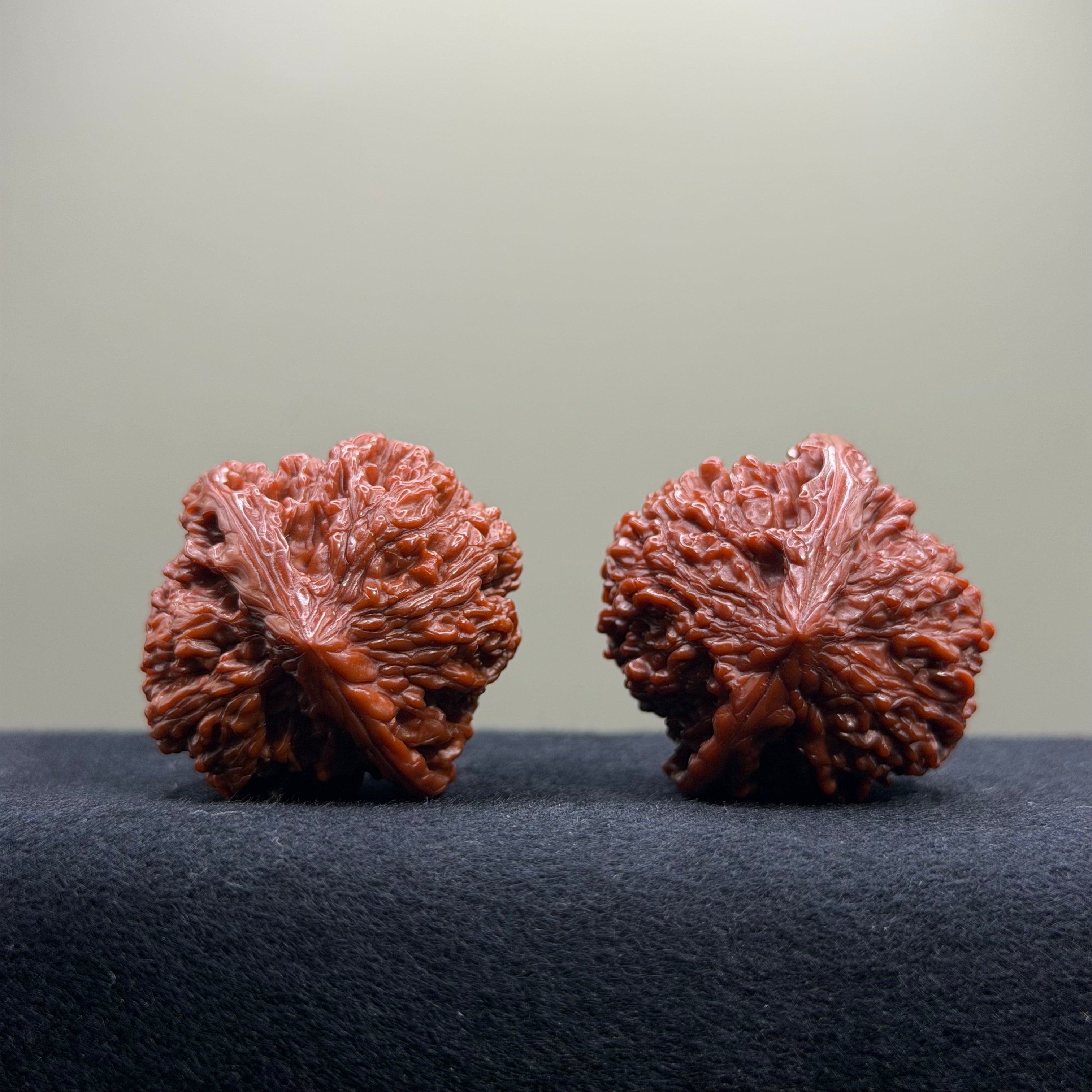 Starry Sky Wenwan Walnut · 36mm · Natural · Premium Ritual