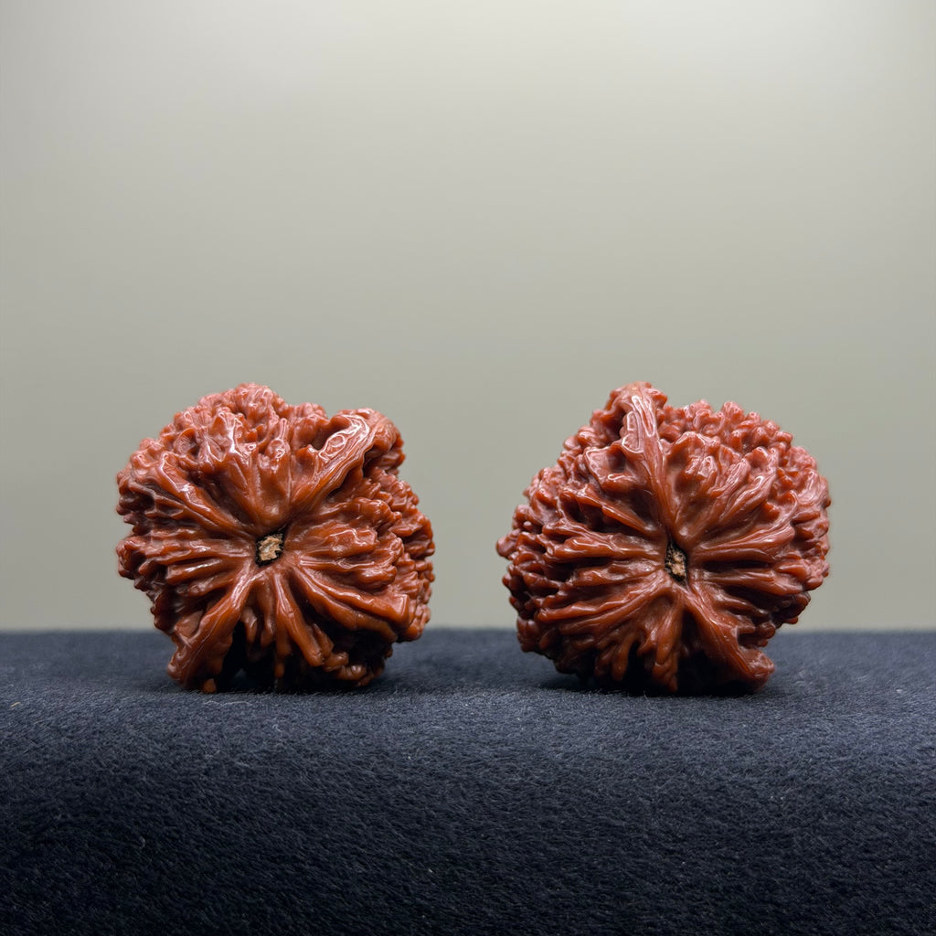 Starry Sky Wenwan Walnut · 36mm · Natural · Premium Ritual