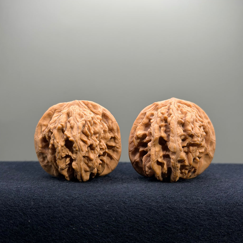 Magma Wenwan Walnut · 40mm · Natural · Entry Ritual