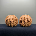 Magma Wenwan Walnut · 40mm · Natural · Entry Ritual
