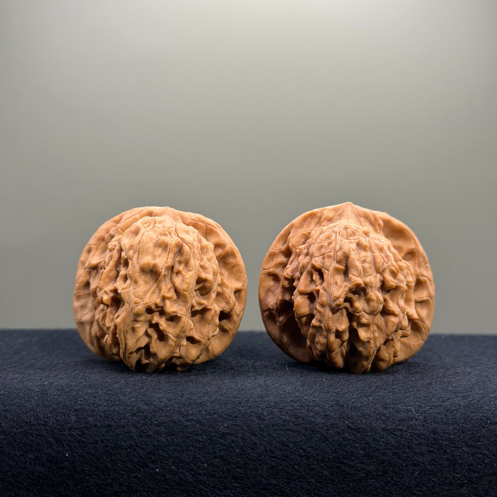 Magma Wenwan Walnut · 40mm · Natural · Entry Ritual
