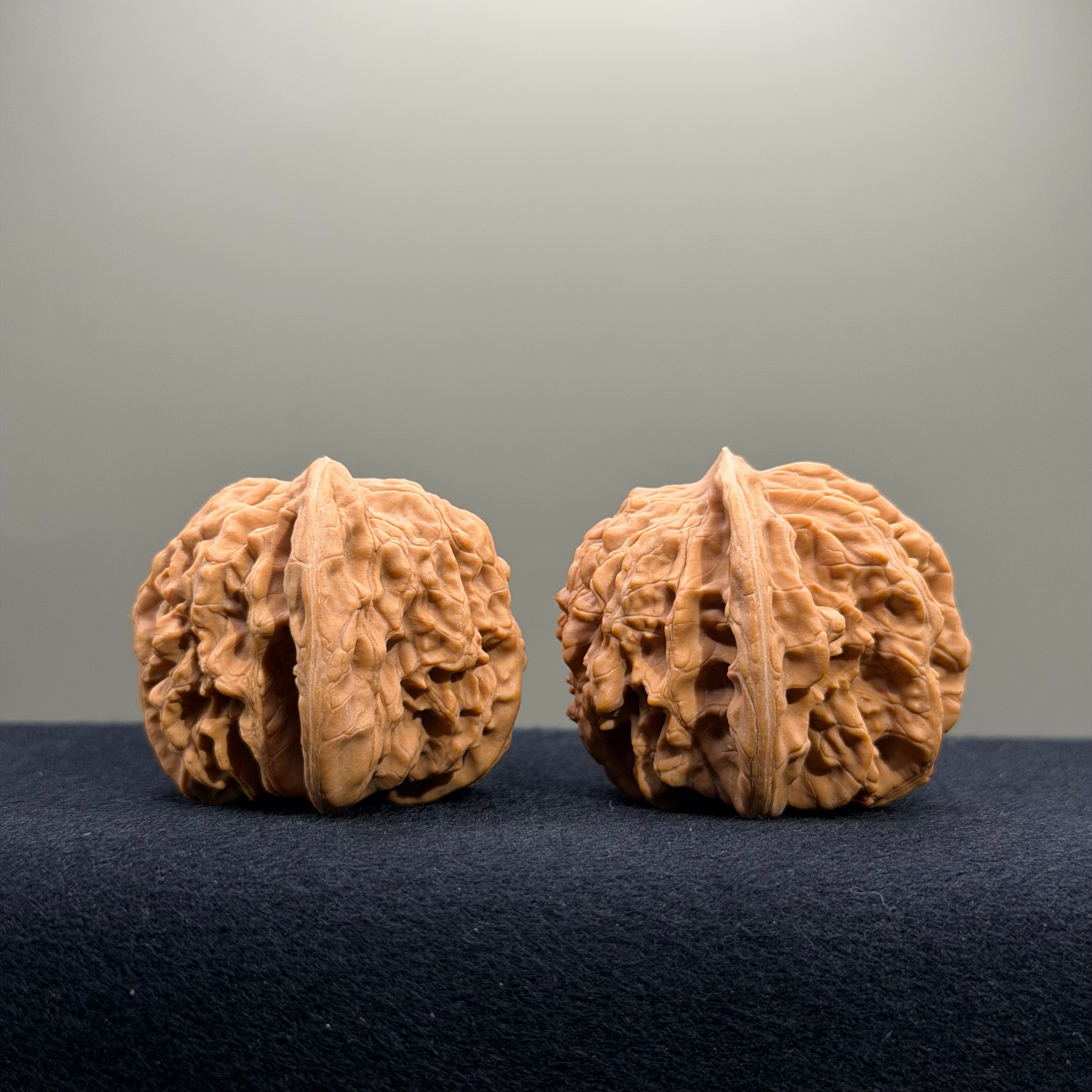 Magma Wenwan Walnut · 40mm · Natural · Entry Ritual