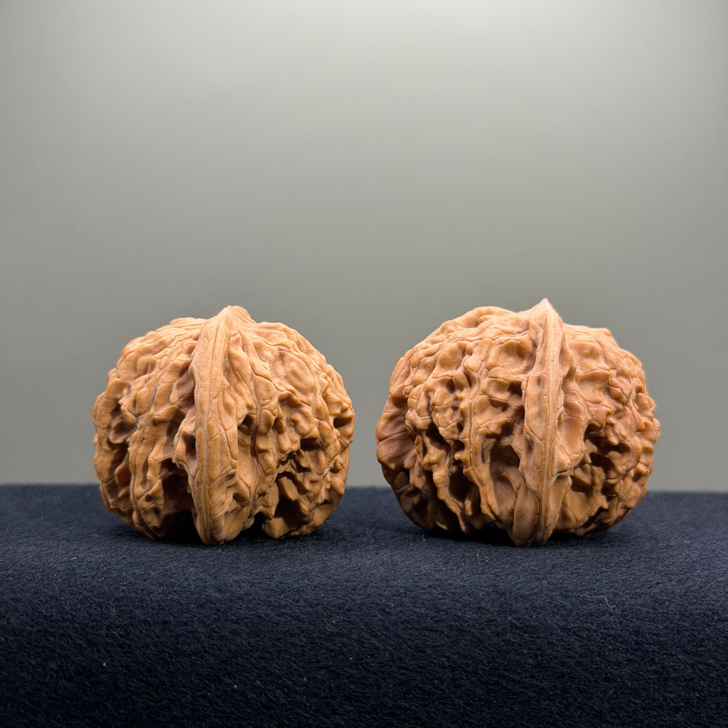Magma Wenwan Walnut · 40mm · Natural · Entry Ritual