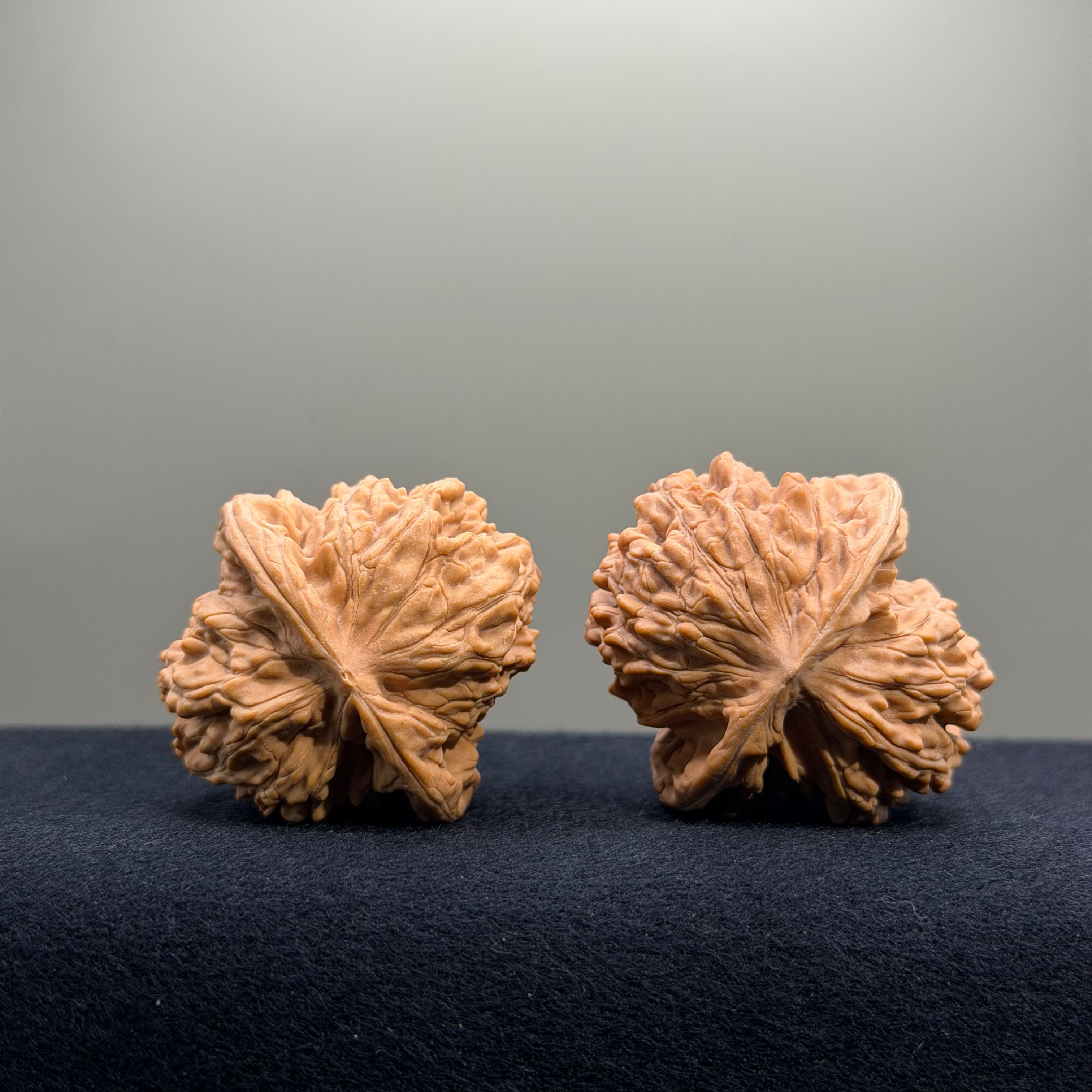Magma Wenwan Walnut · 40mm · Natural · Entry Ritual