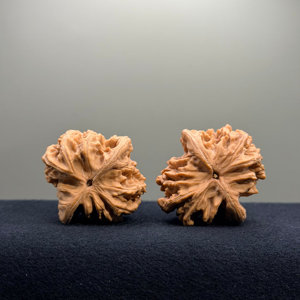 Magma Wenwan Walnut · 40mm · Natural · Entry Ritual