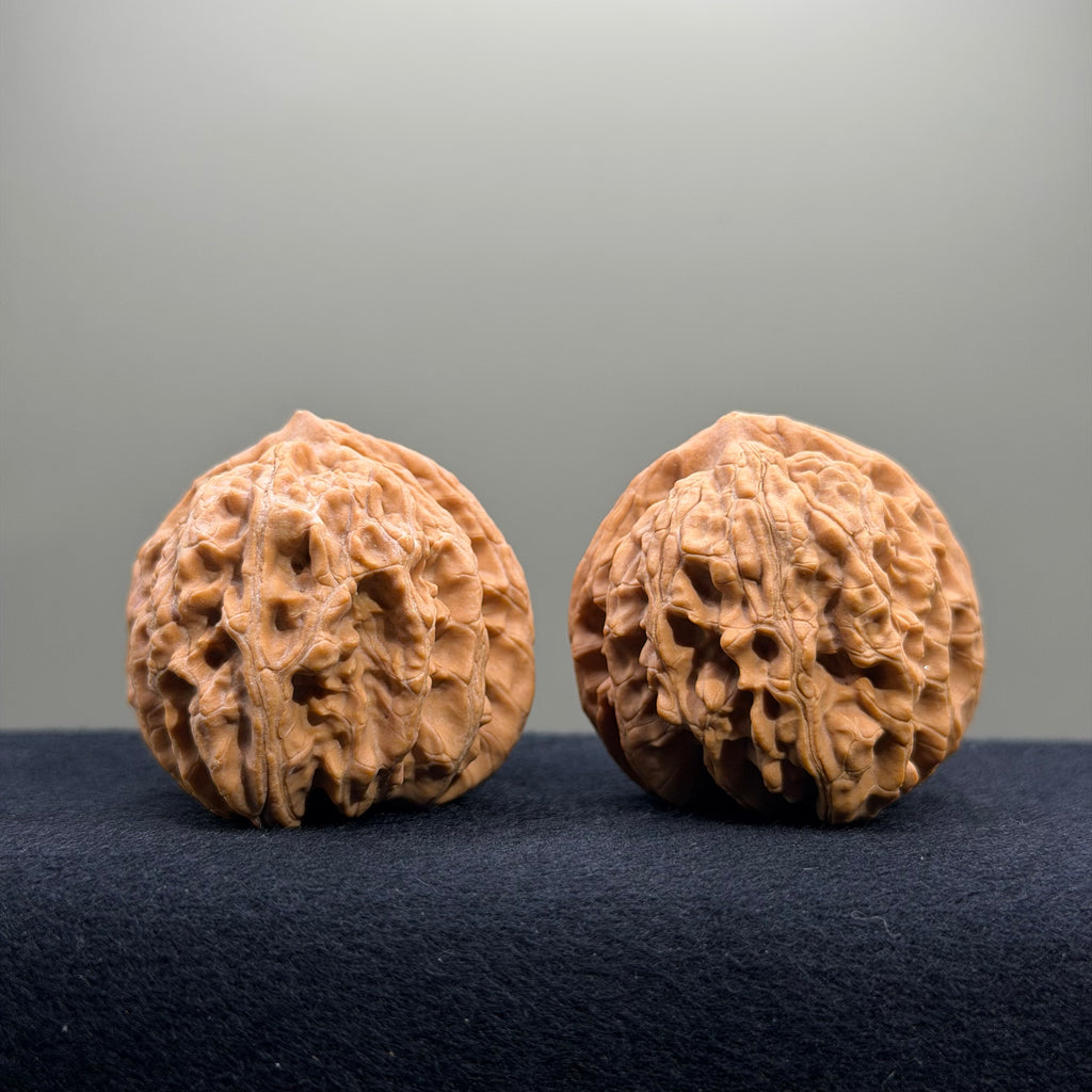 Magma Wenwan Walnut · 41mm · Natural · Entry Ritual