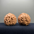Magma Wenwan Walnut · 41mm · Natural · Entry Ritual