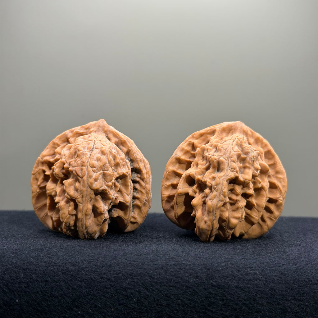Magma Wenwan Walnut · 41mm · Natural · Entry Ritual