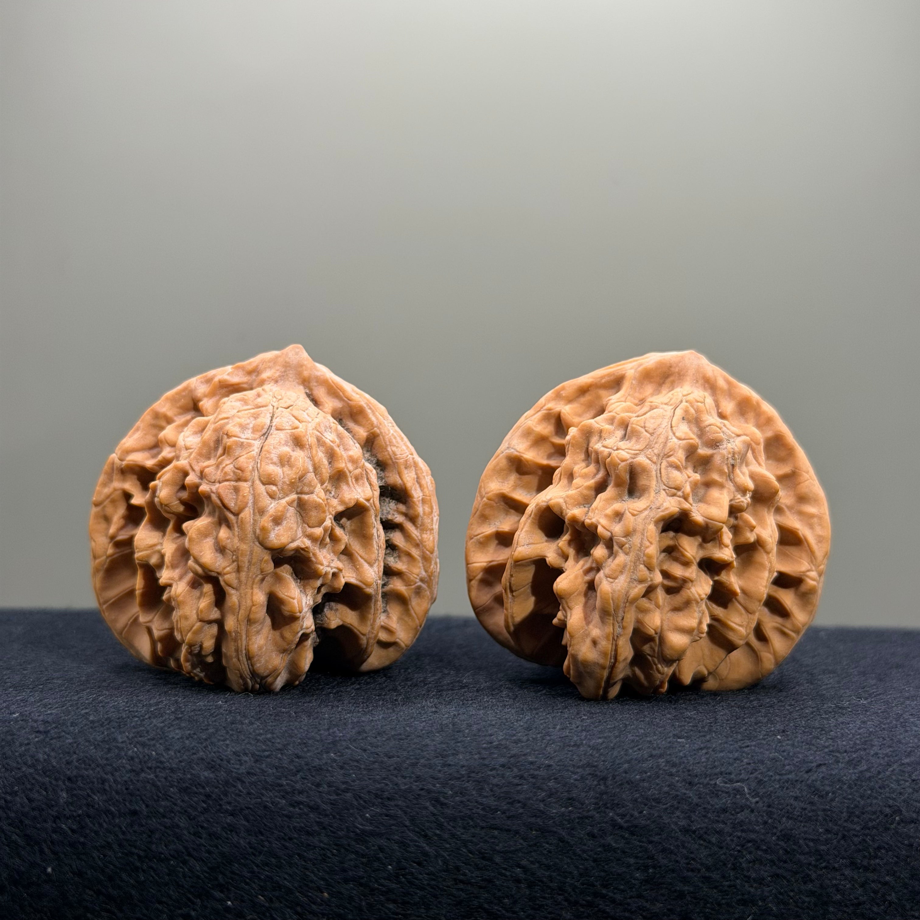 Magma Wenwan Walnut · 41mm · Natural · Entry Ritual