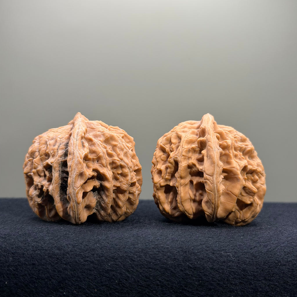 Magma Wenwan Walnut · 41mm · Natural · Entry Ritual