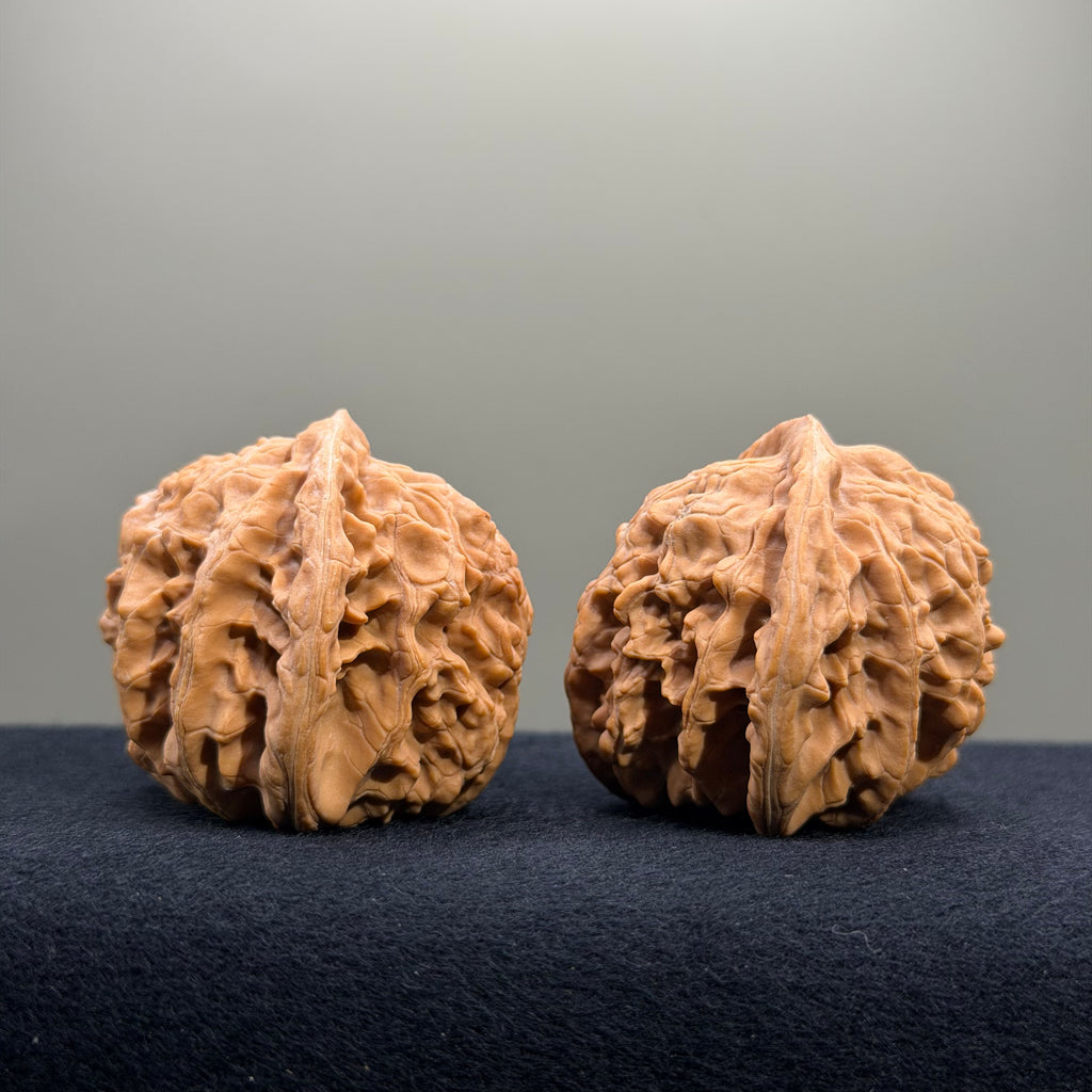 Magma Wenwan Walnut · 41mm · Natural · Entry Ritual