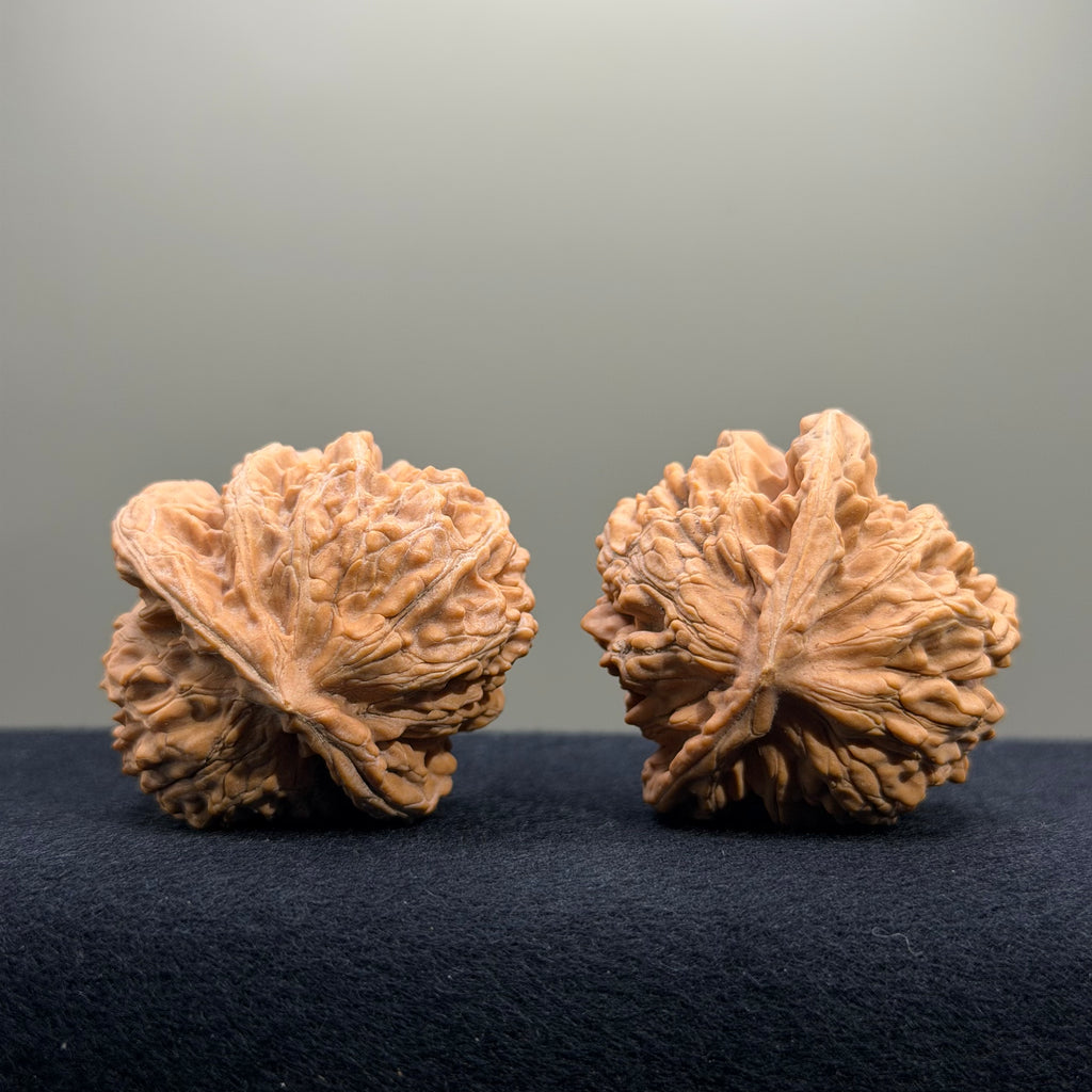 Magma Wenwan Walnut · 41mm · Natural · Entry Ritual