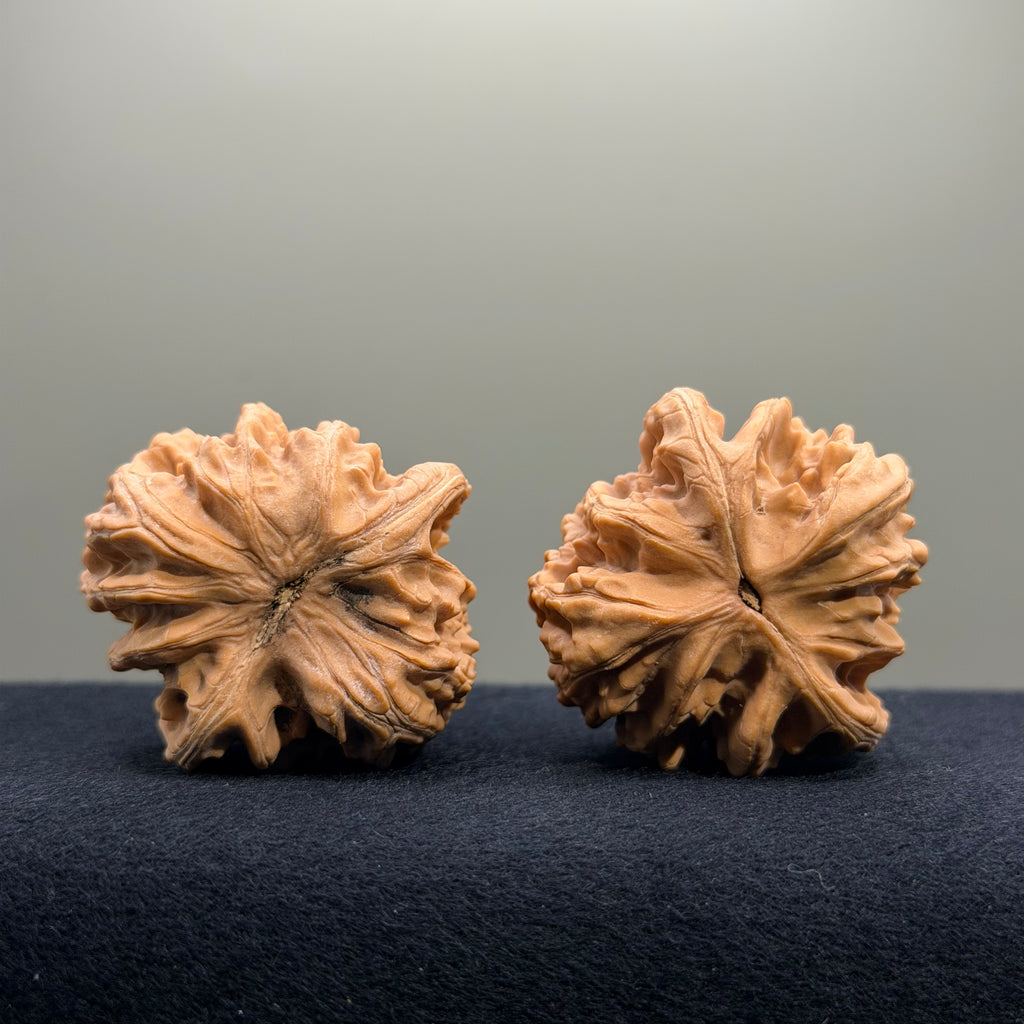 Magma Wenwan Walnut · 41mm · Natural · Entry Ritual