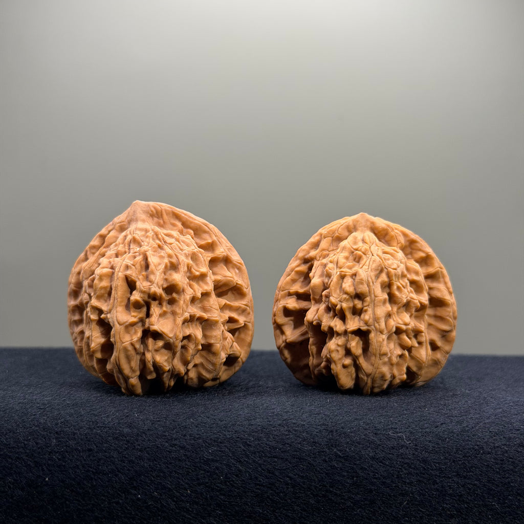 Magma Wenwan Walnut · 41mm · Natural · Entry Ritual