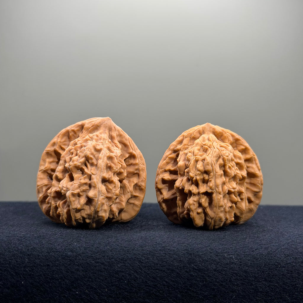 Magma Wenwan Walnut · 41mm · Natural · Entry Ritual