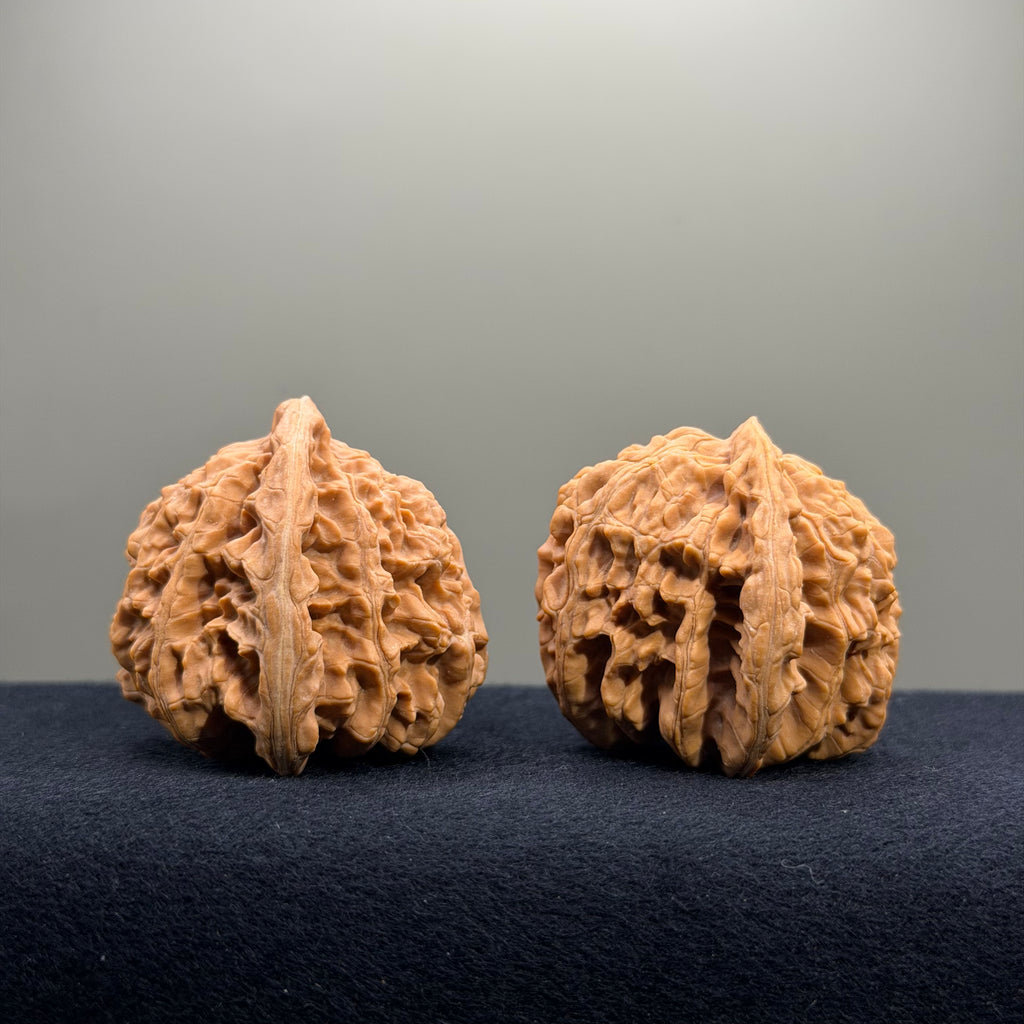 Magma Wenwan Walnut · 41mm · Natural · Entry Ritual
