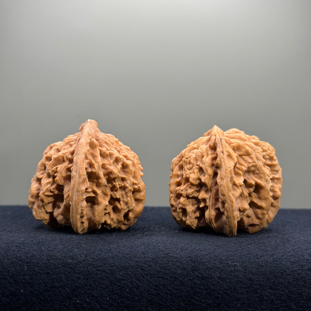 Magma Wenwan Walnut · 41mm · Natural · Entry Ritual