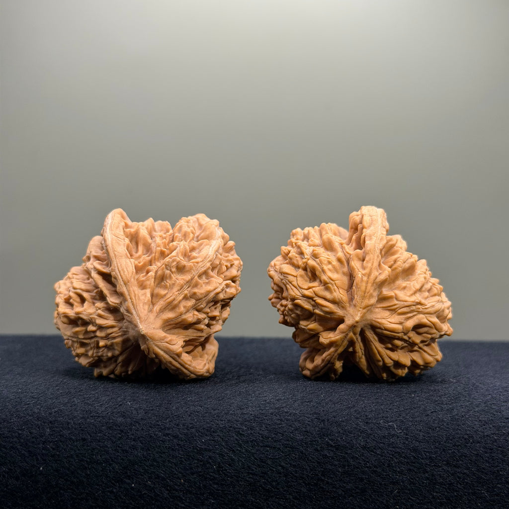 Magma Wenwan Walnut · 41mm · Natural · Entry Ritual