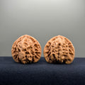Magma Wenwan Walnut · 41mm · Natural · Select Ritual
