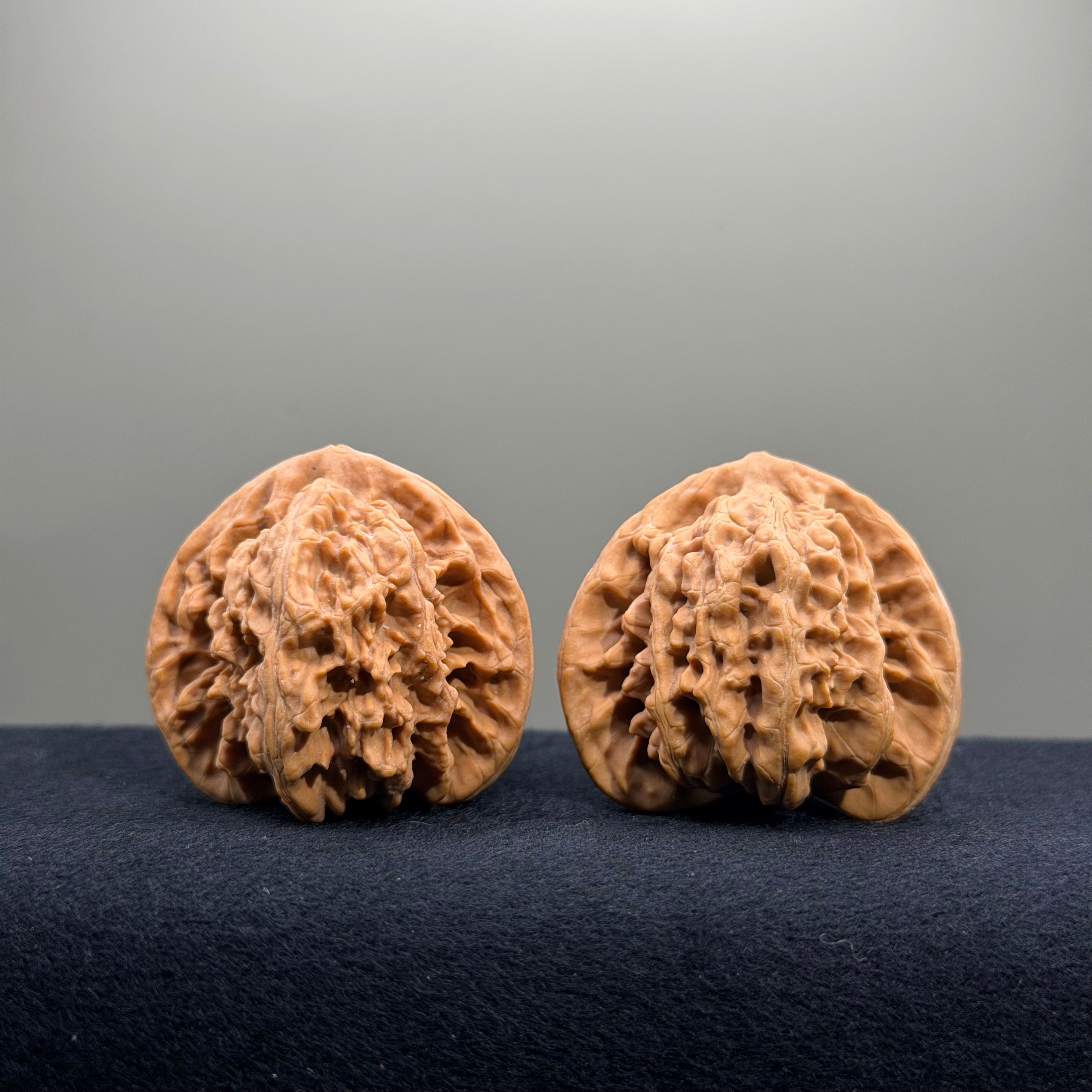 Magma Wenwan Walnut · 41mm · Natural · Select Ritual