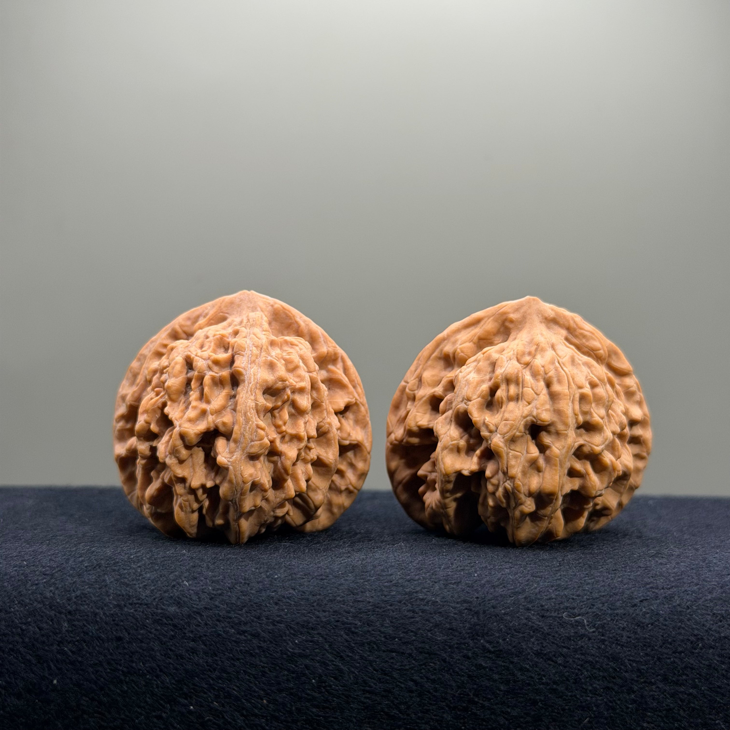 Magma Wenwan Walnut · 41mm · Natural · Select Ritual