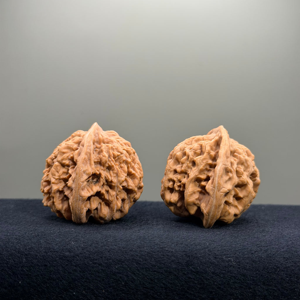 Magma Wenwan Walnut · 41mm · Natural · Select Ritual