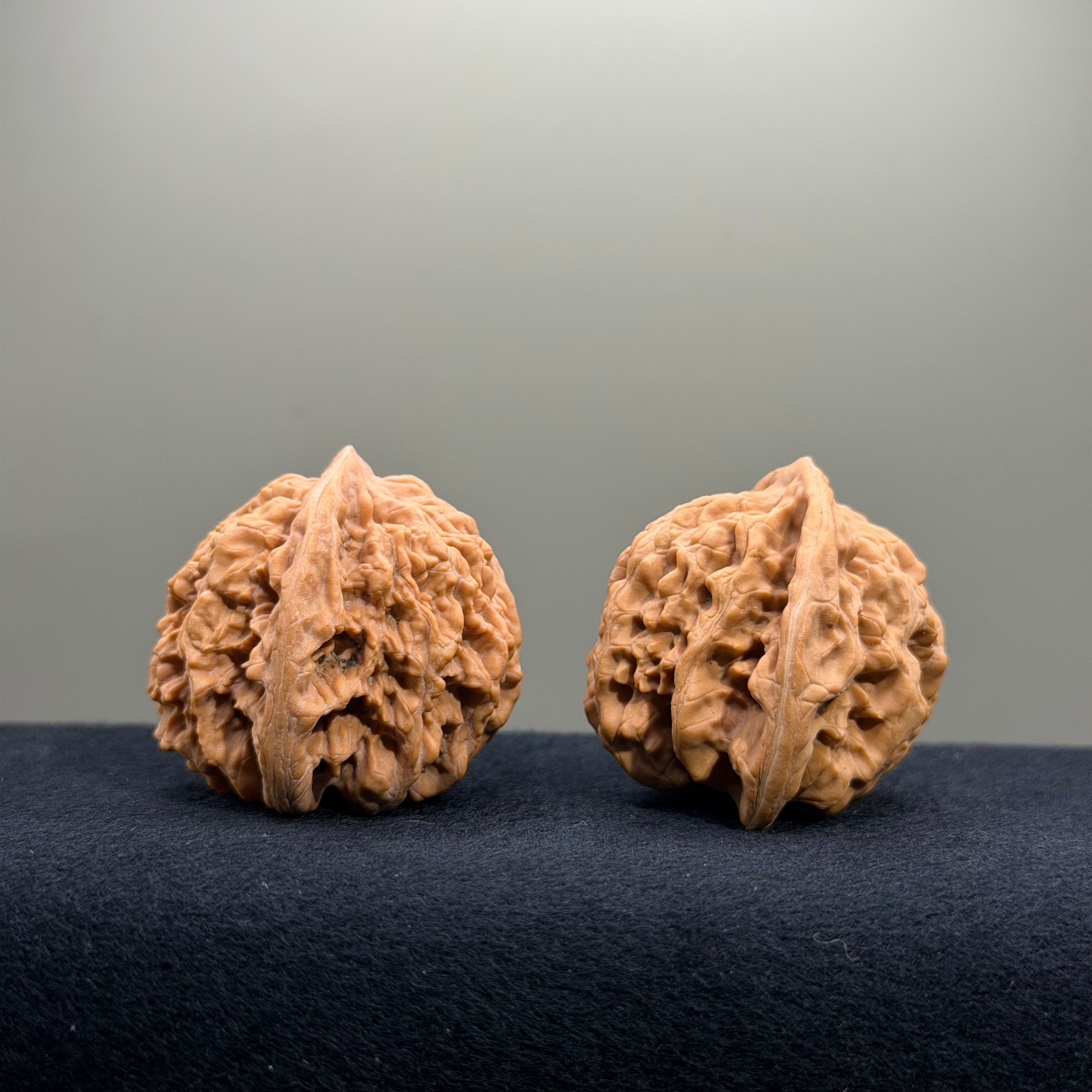 Magma Wenwan Walnut · 41mm · Natural · Select Ritual