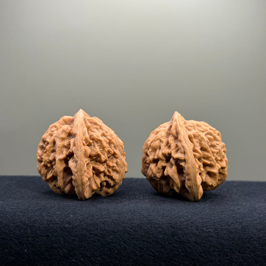 Magma Wenwan Walnut · 41mm · Natural · Select Ritual
