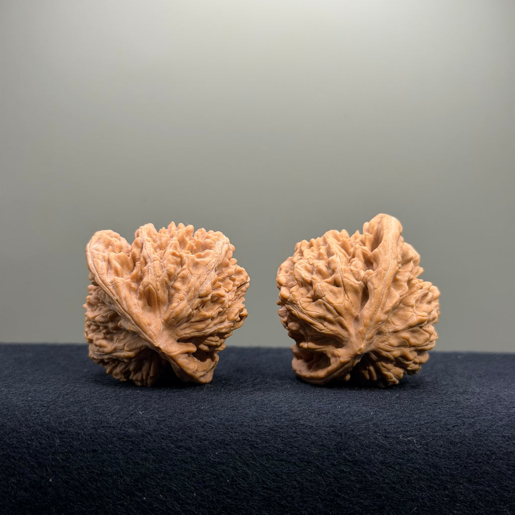 Magma Wenwan Walnut · 41mm · Natural · Select Ritual