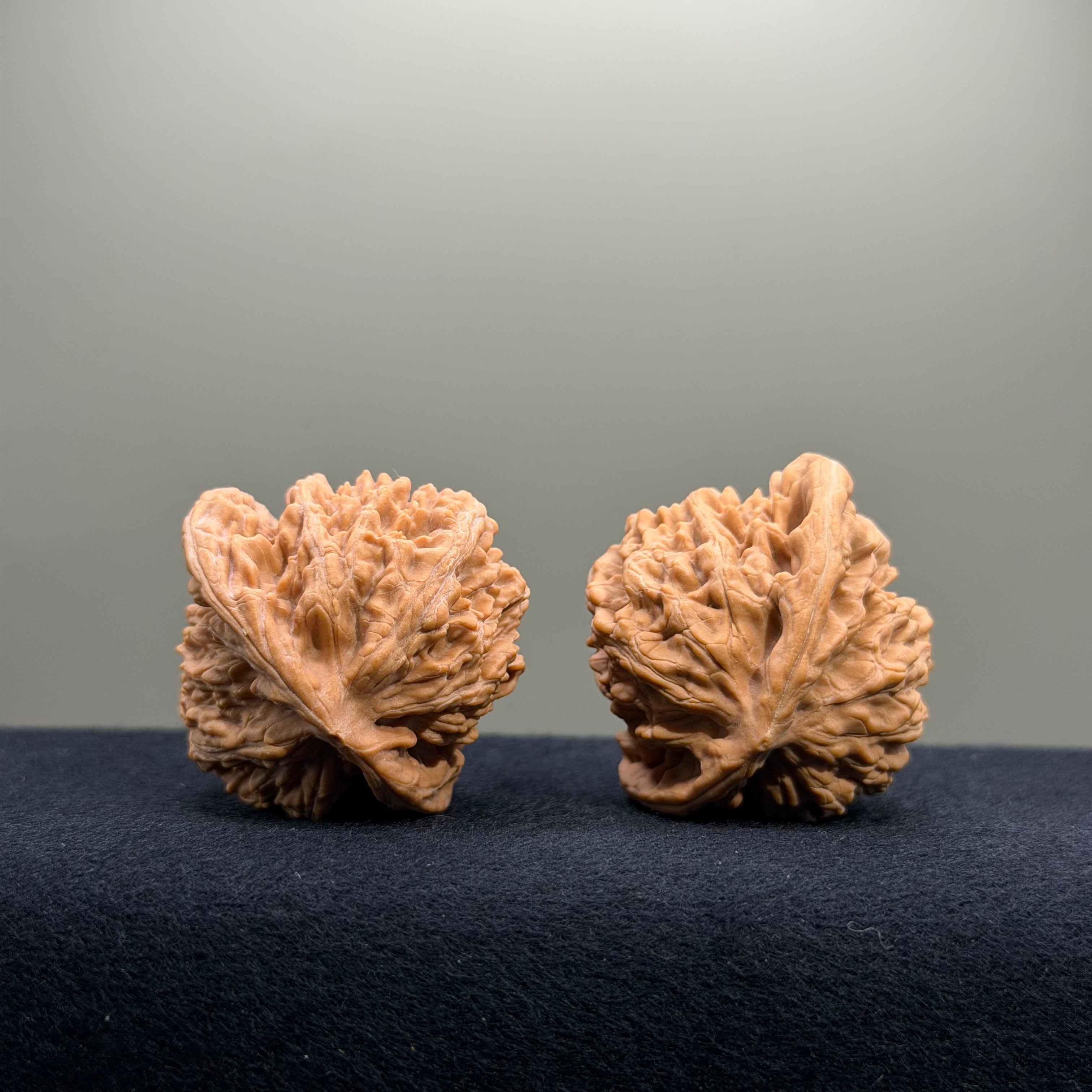 Magma Wenwan Walnut · 41mm · Natural · Select Ritual