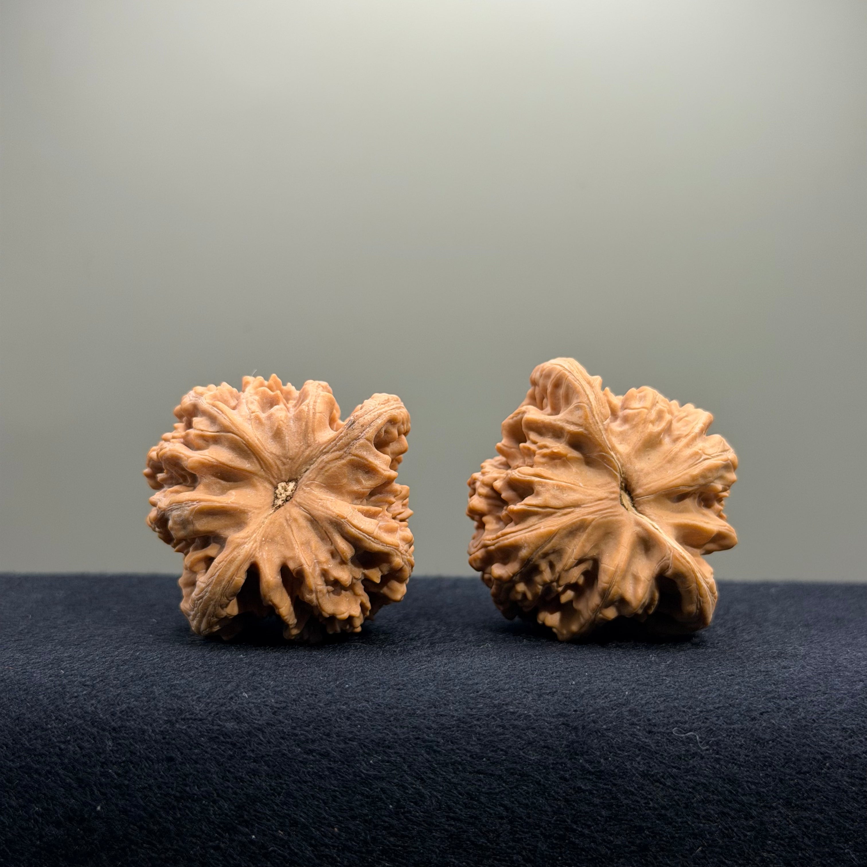 Magma Wenwan Walnut · 41mm · Natural · Select Ritual