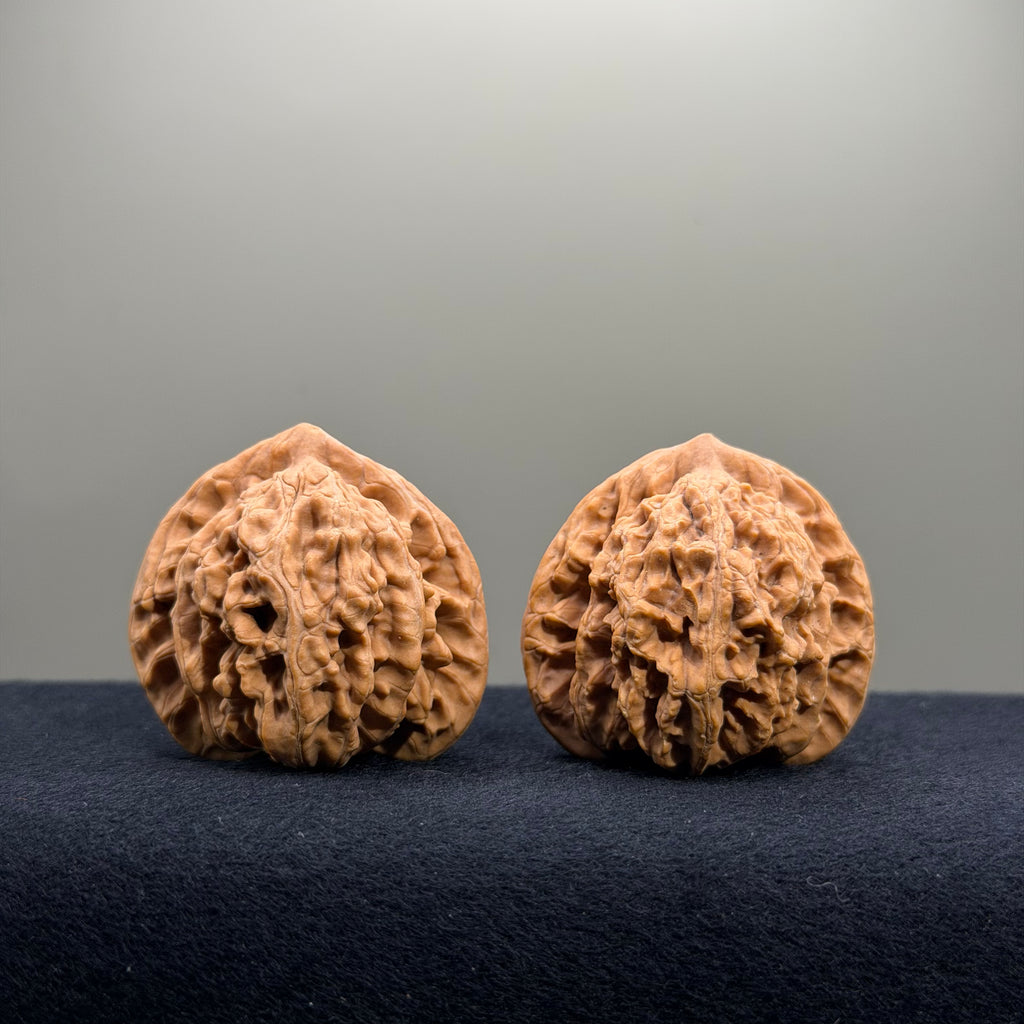 Magma Wenwan Walnut · 40mm · Natural · Select Ritual