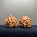 Magma Wenwan Walnut · 40mm · Natural · Select Ritual