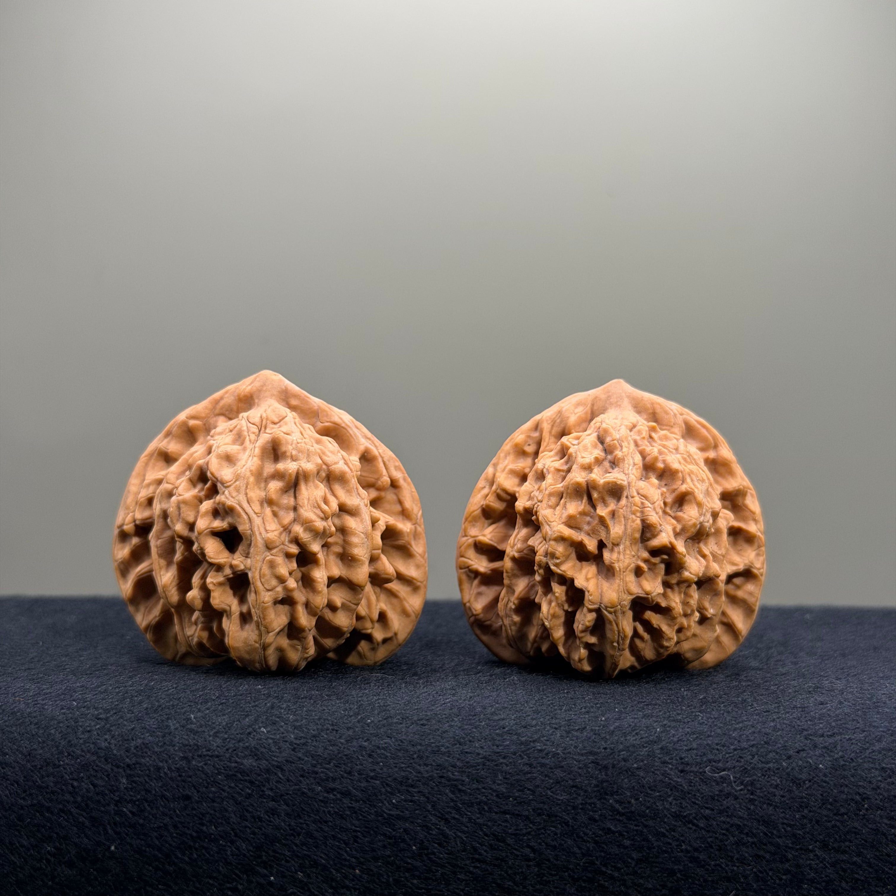 Magma Wenwan Walnut · 40mm · Natural · Select Ritual