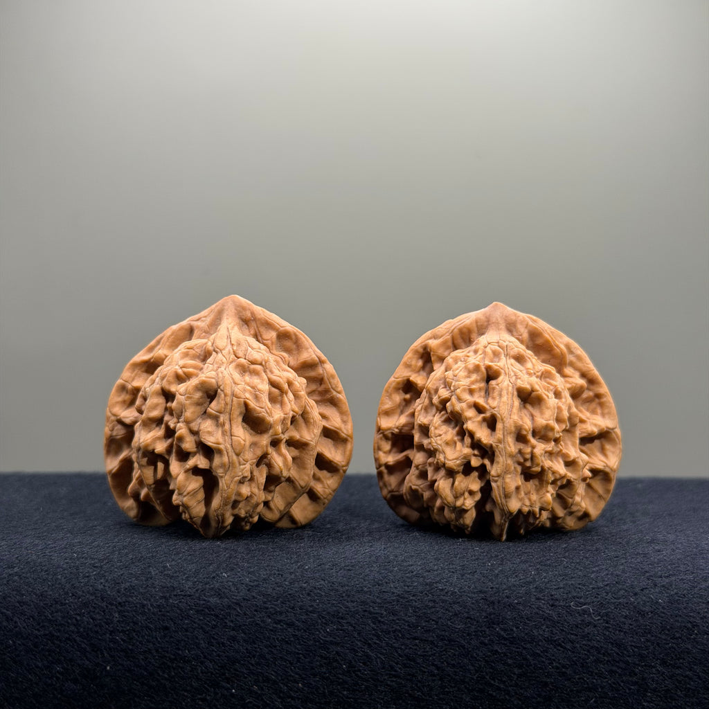 Magma Wenwan Walnut · 40mm · Natural · Select Ritual
