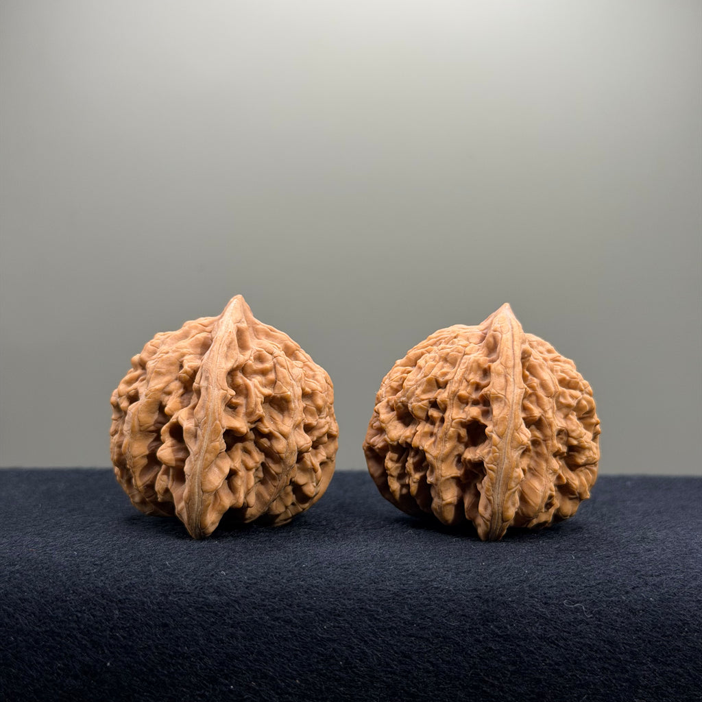Magma Wenwan Walnut · 40mm · Natural · Select Ritual