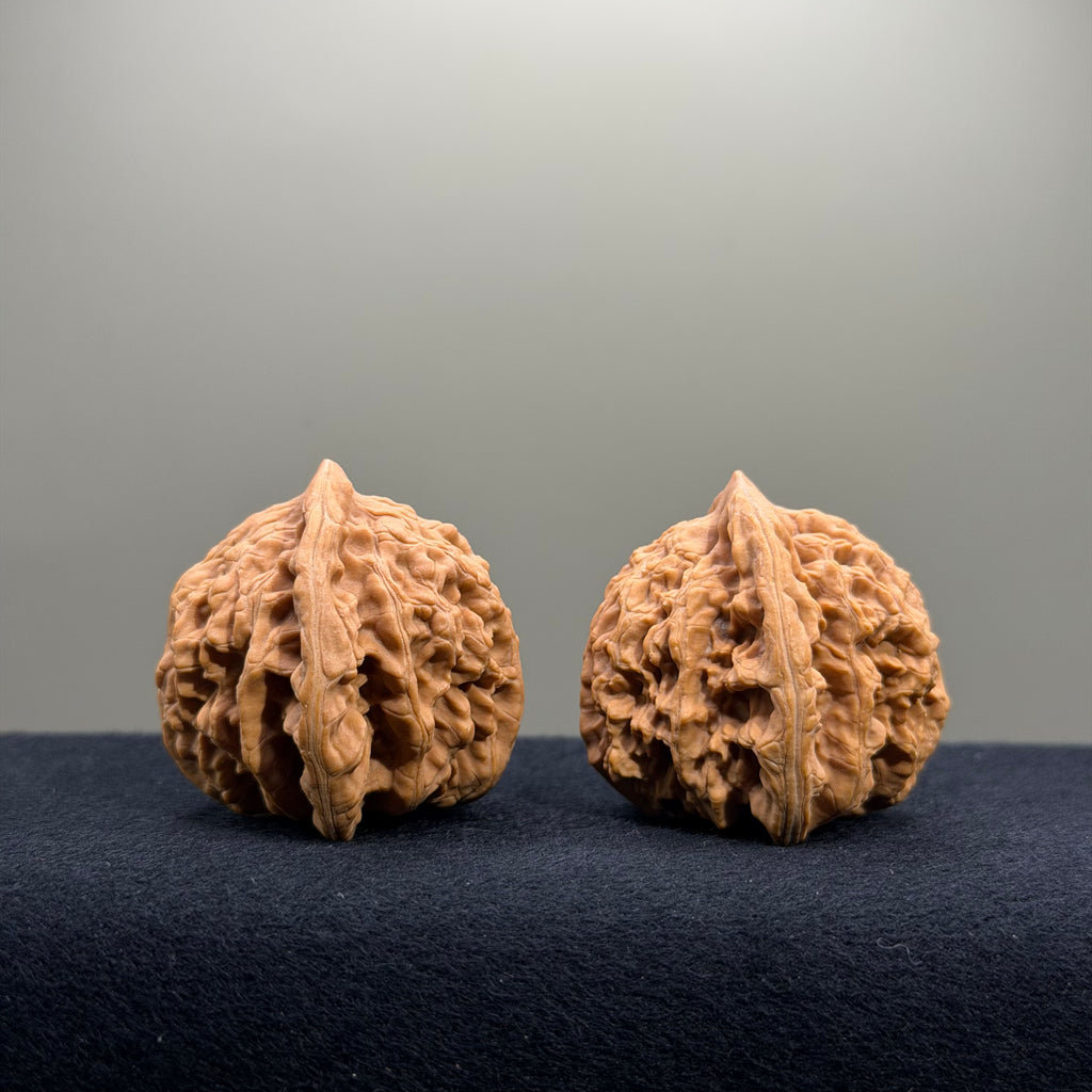 Magma Wenwan Walnut · 40mm · Natural · Select Ritual